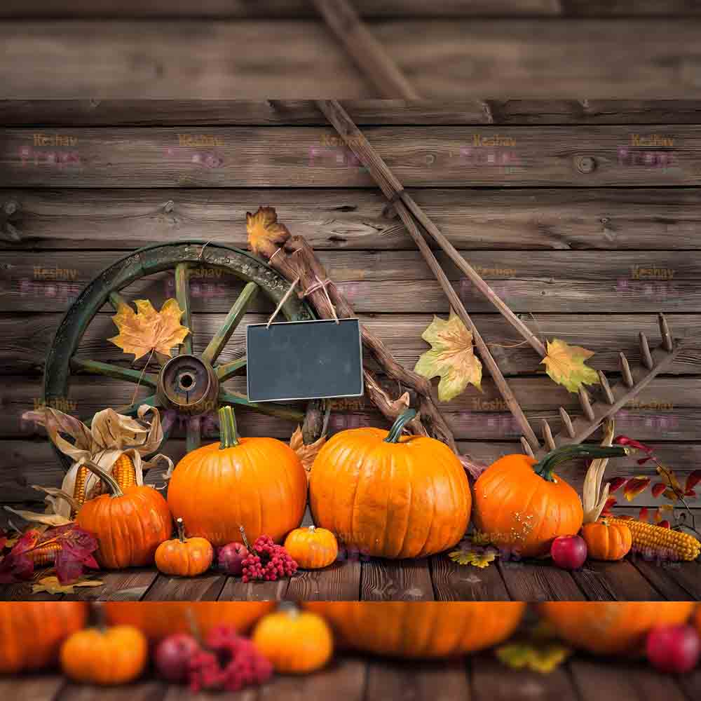 Pumpkin Theme Backdrop (2807)