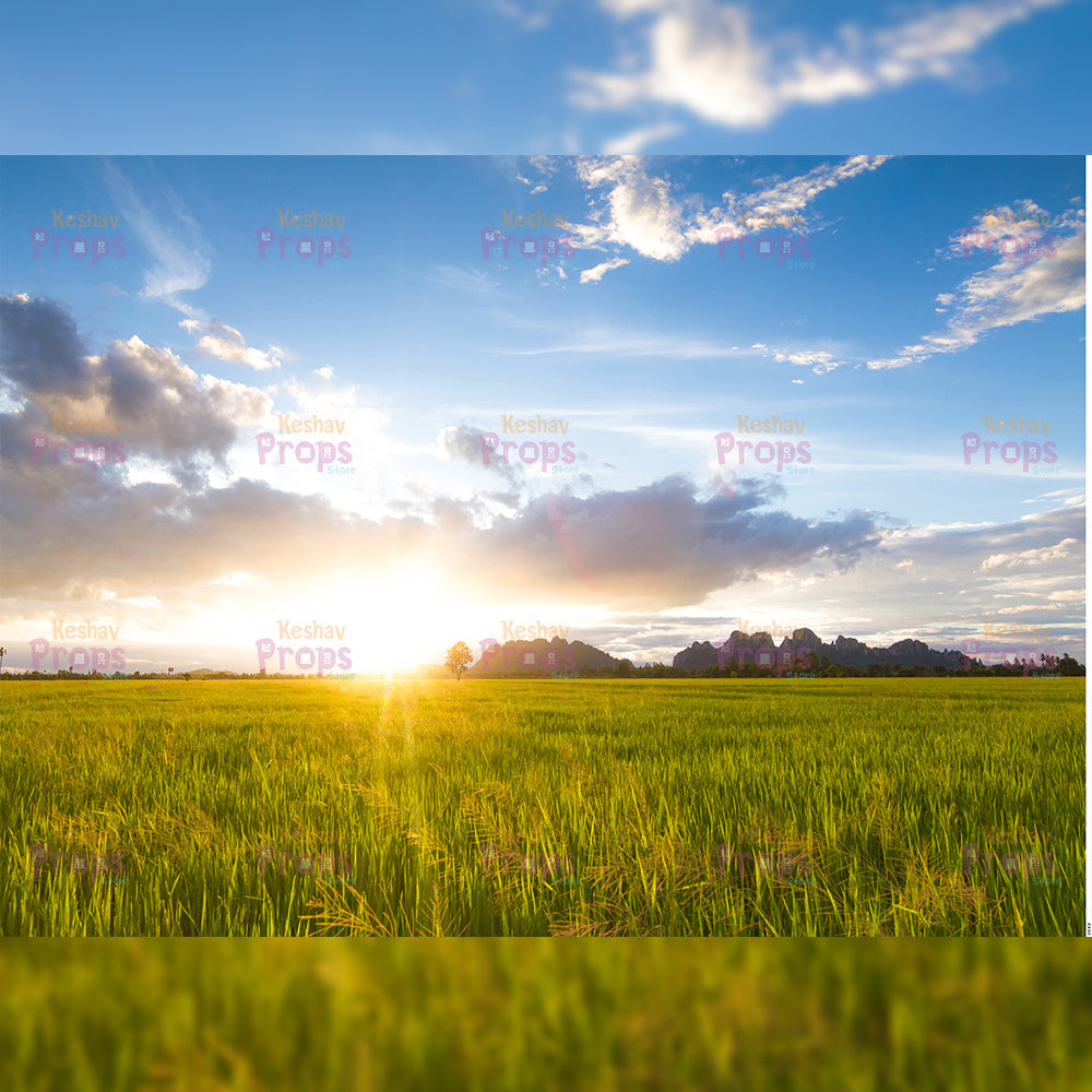 Nature Theme Backdrop (3540)