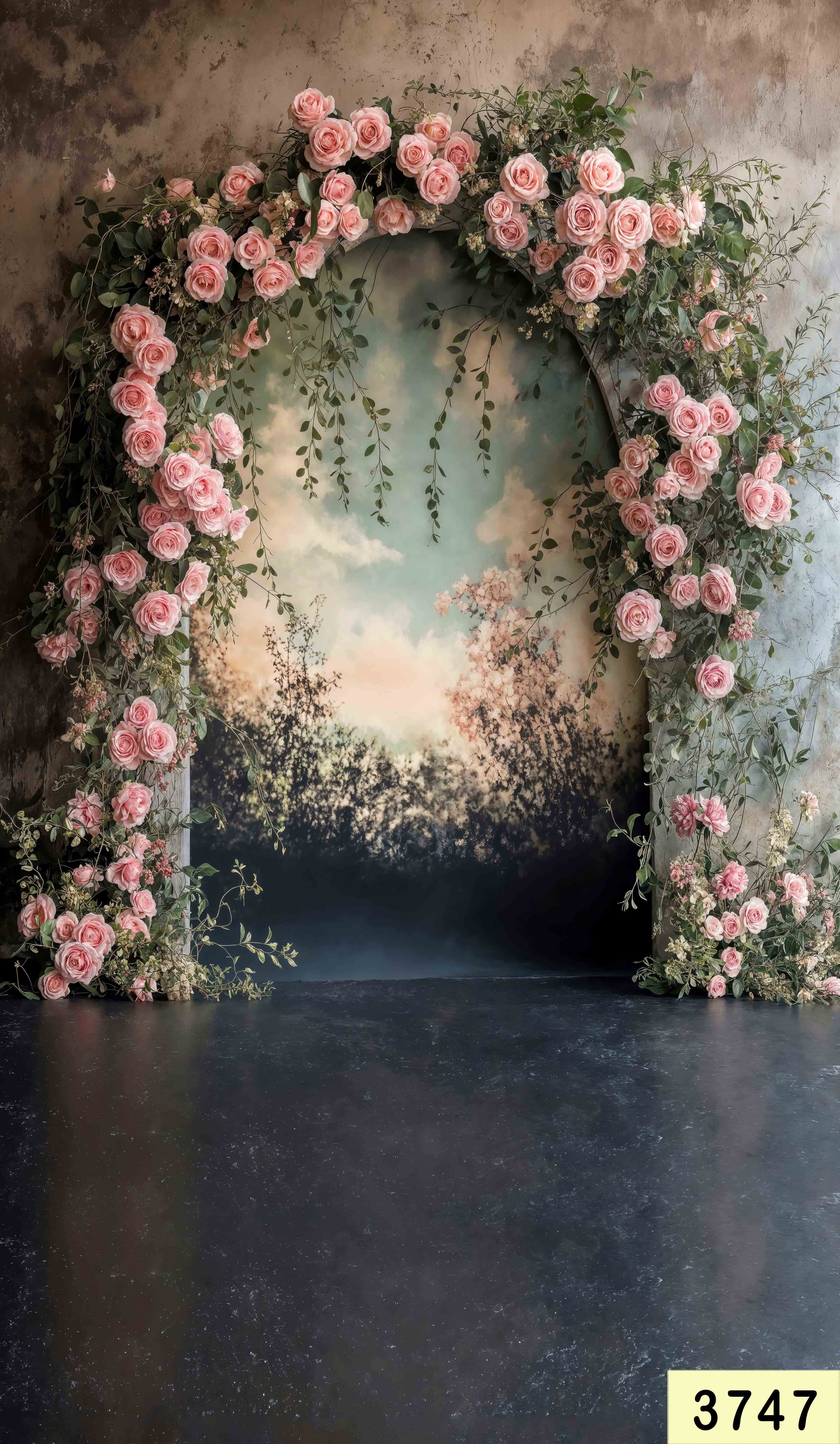 Portrait Shoot Backdrops (3747)