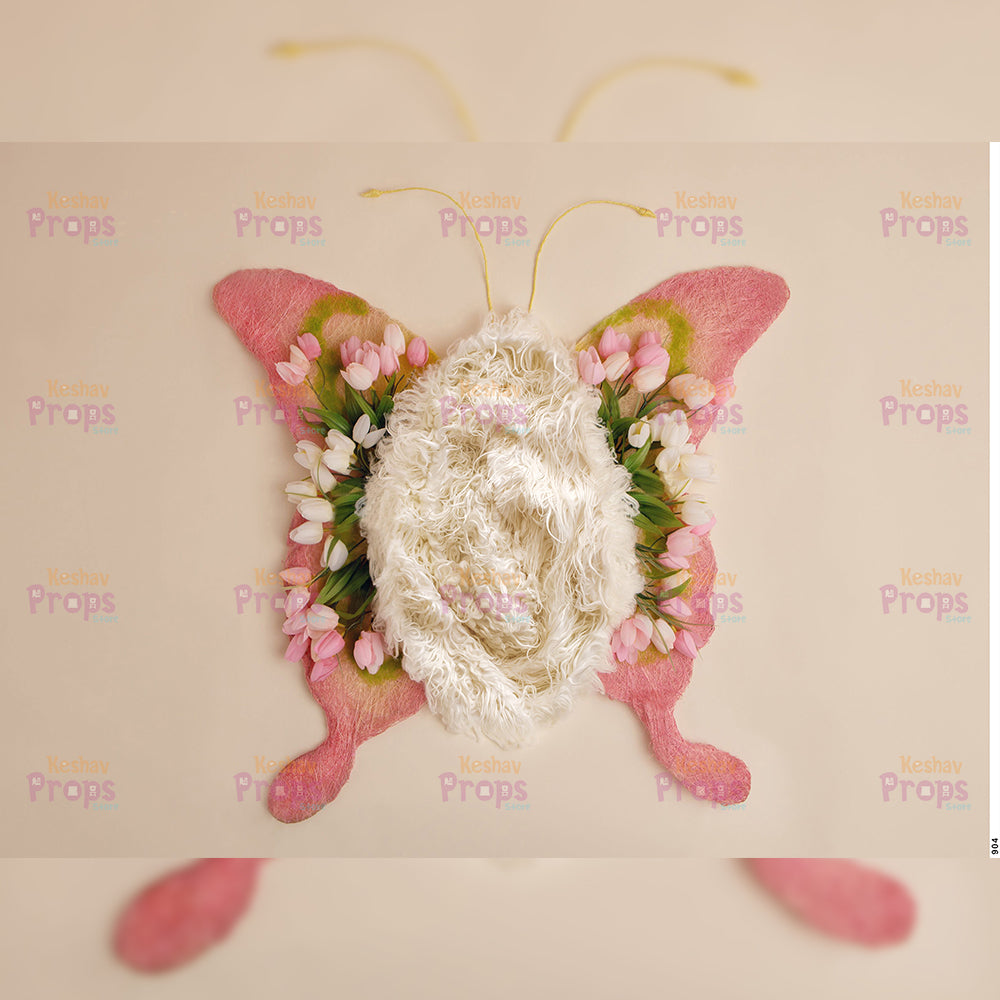 New Born Shoot Backdrops (904)
