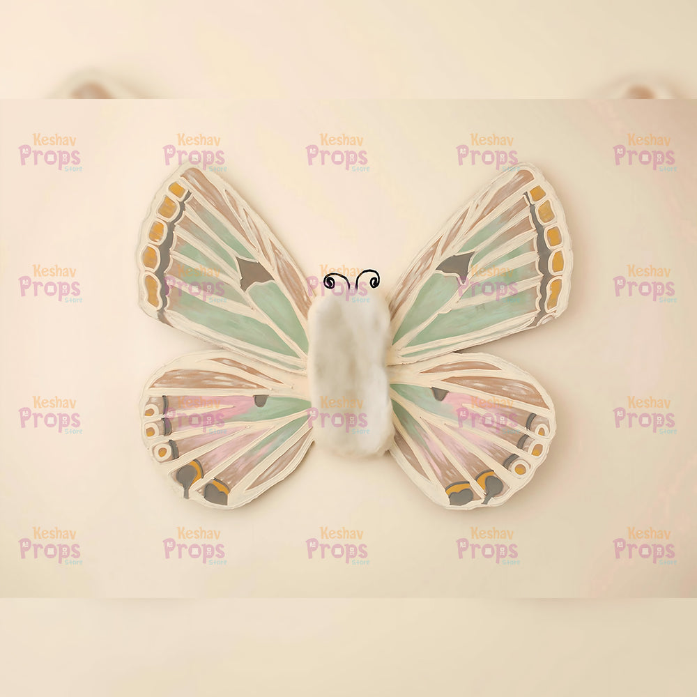New Born Shoot Backdrops (905)