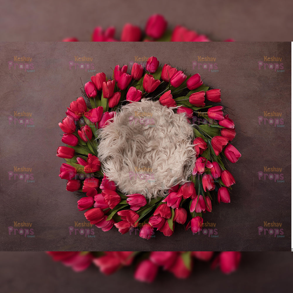 New Born Shoot Backdrops (919)