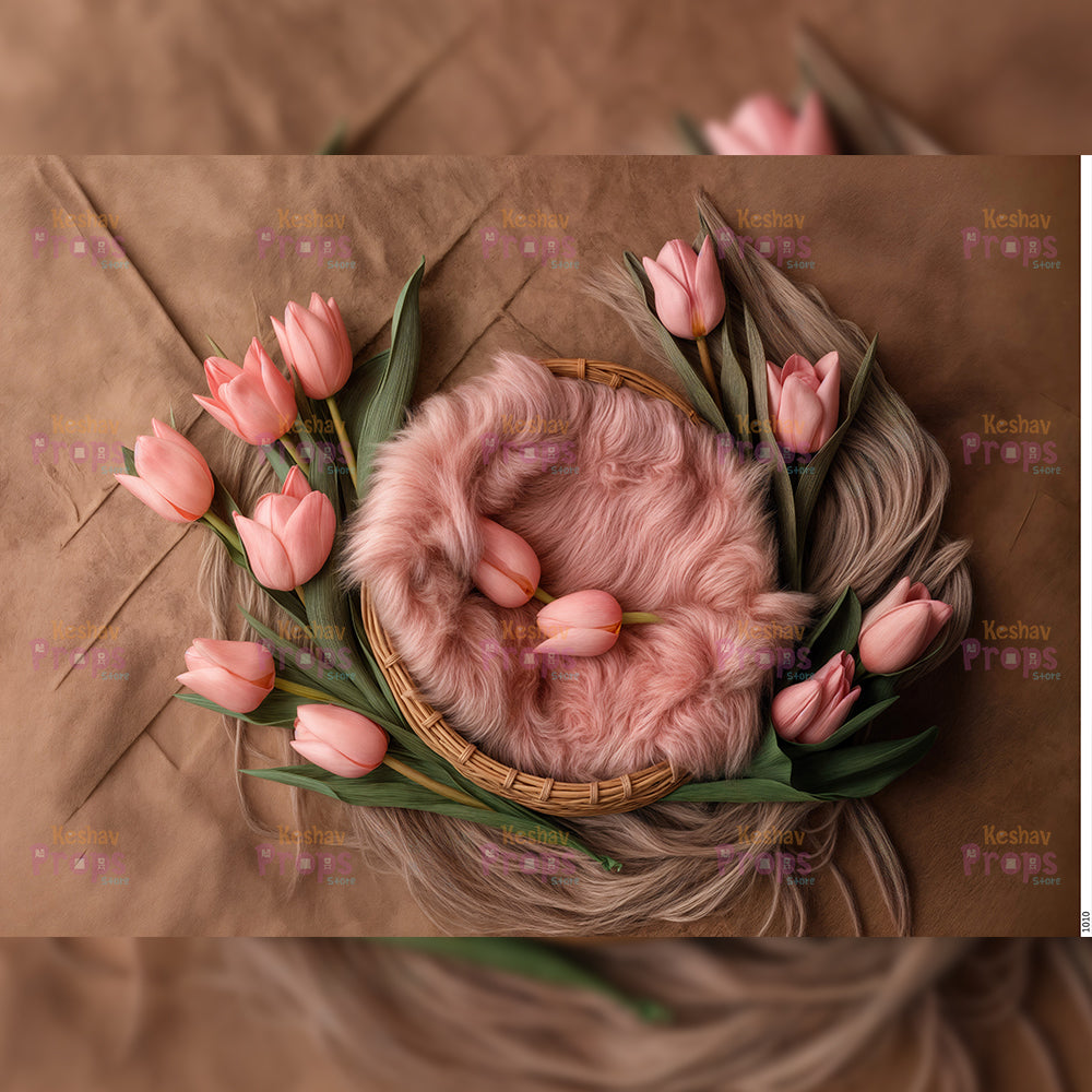 New Born Shoot Backdrops (1010)