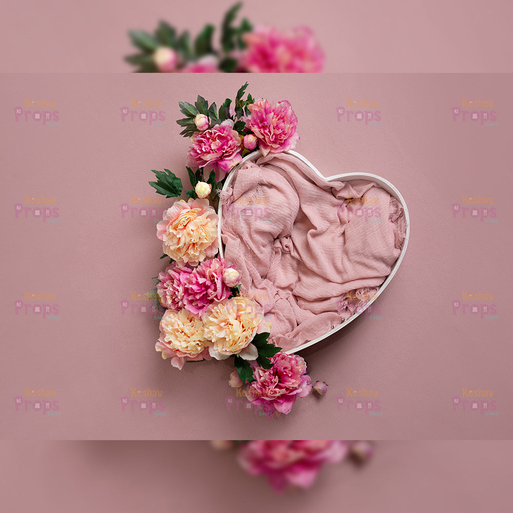 New Born Shoot Backdrops (1021)