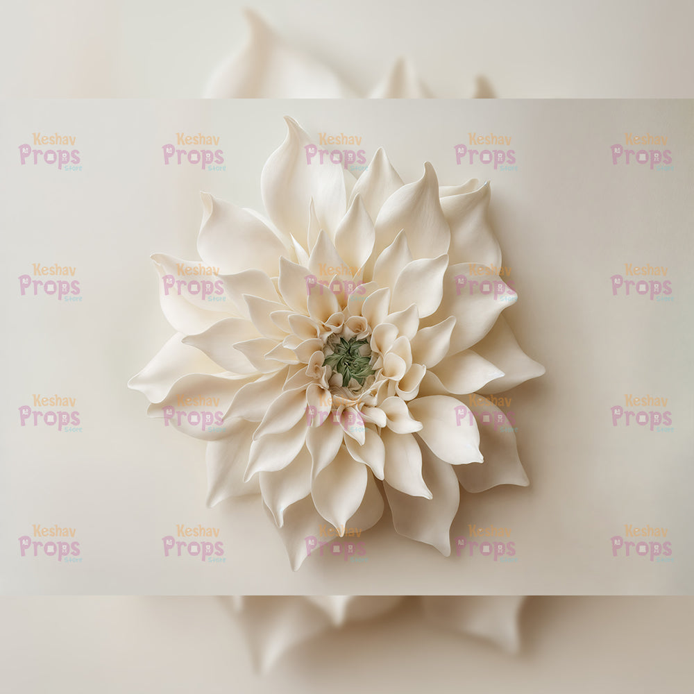 New Born Shoot Backdrops (1045)