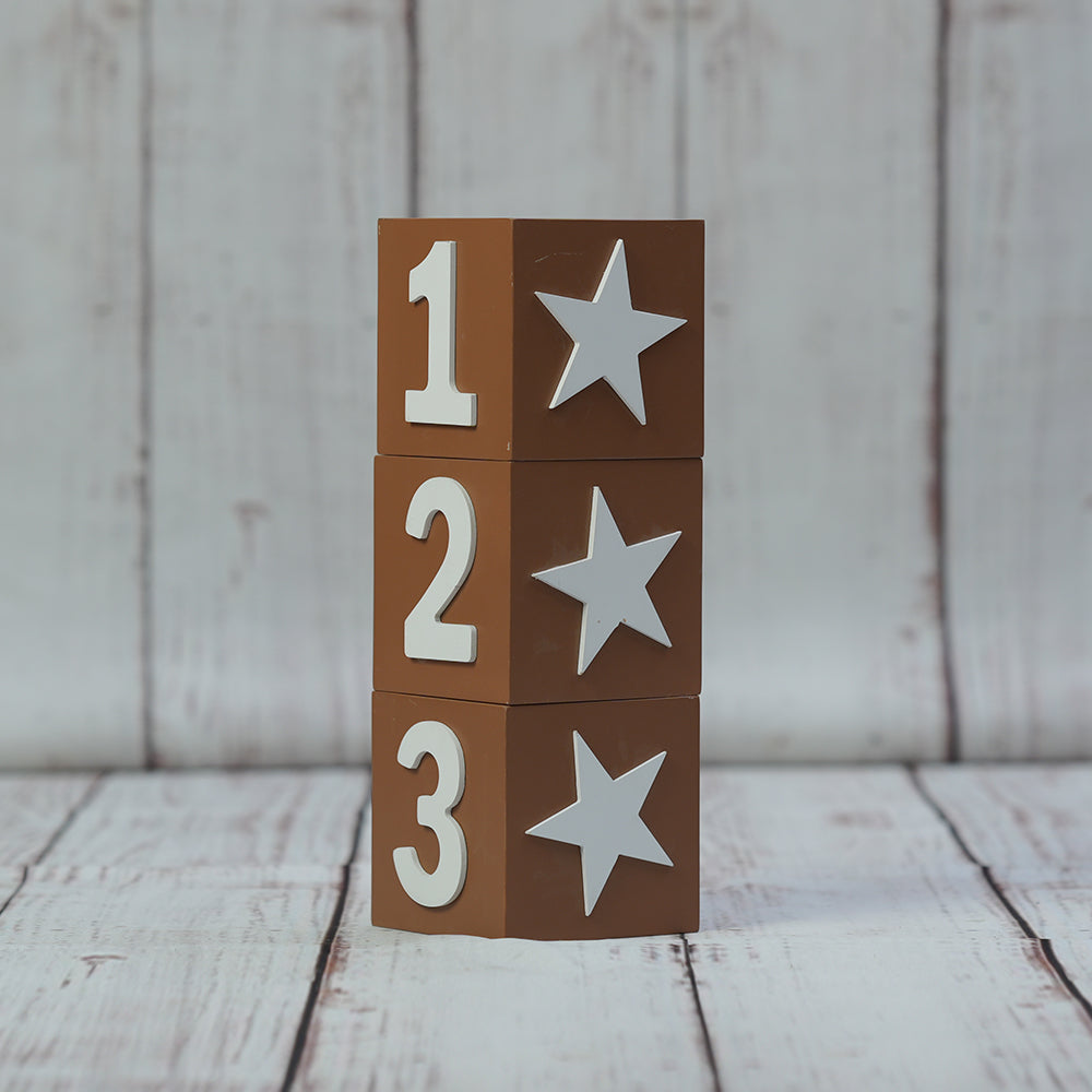 Milestone Box - 4 in 1 | Small Size | Brown