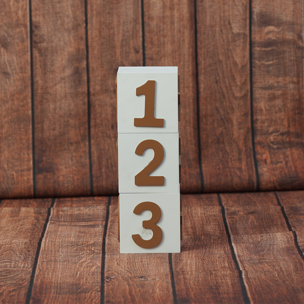 Milestone Box - 4 in 1 | Small Size | White