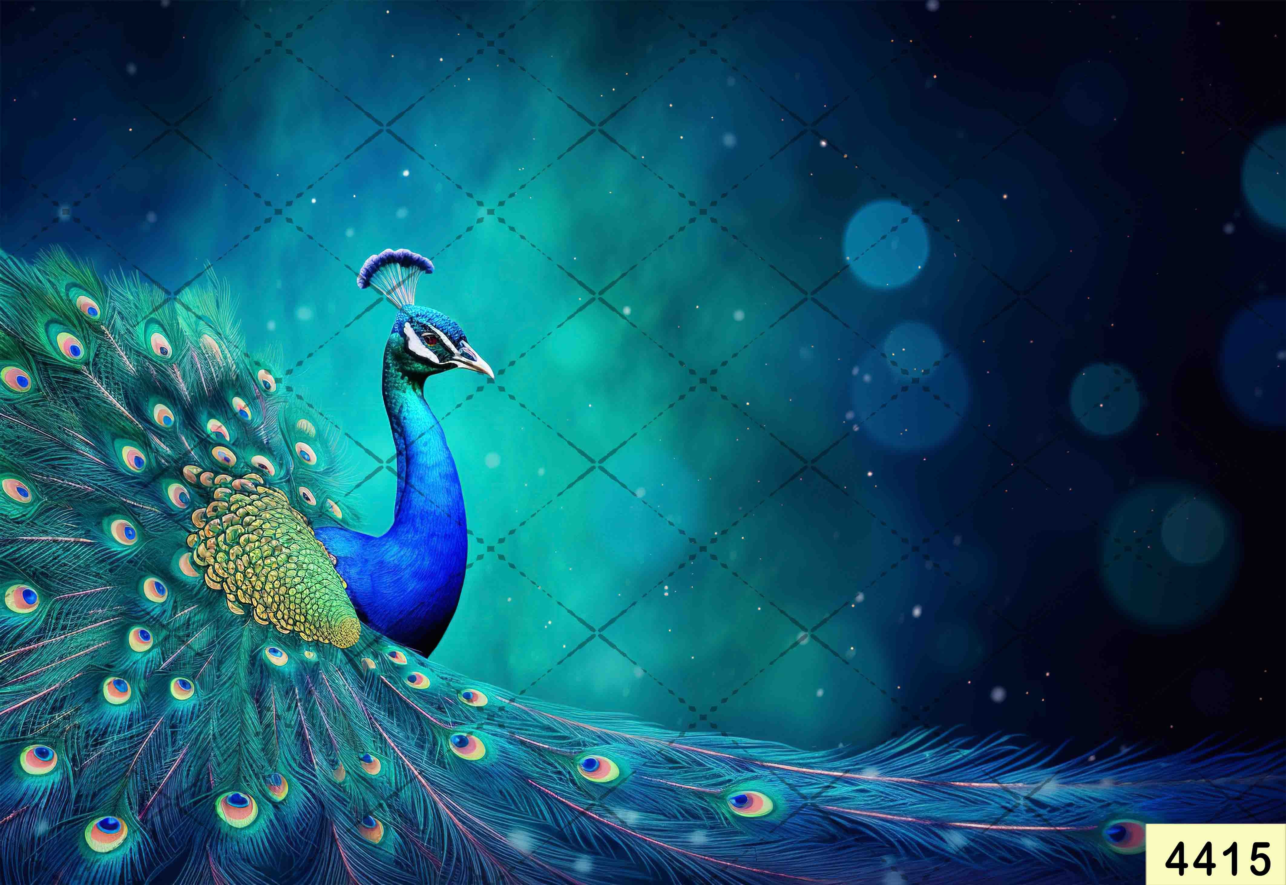 Janmashtami Backdrops | 5*7 Feet (4415)