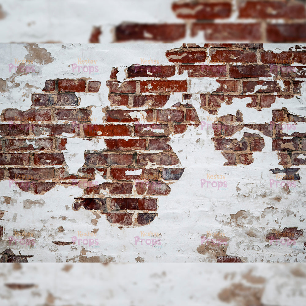 Walls / Floors Backdrops (4813)