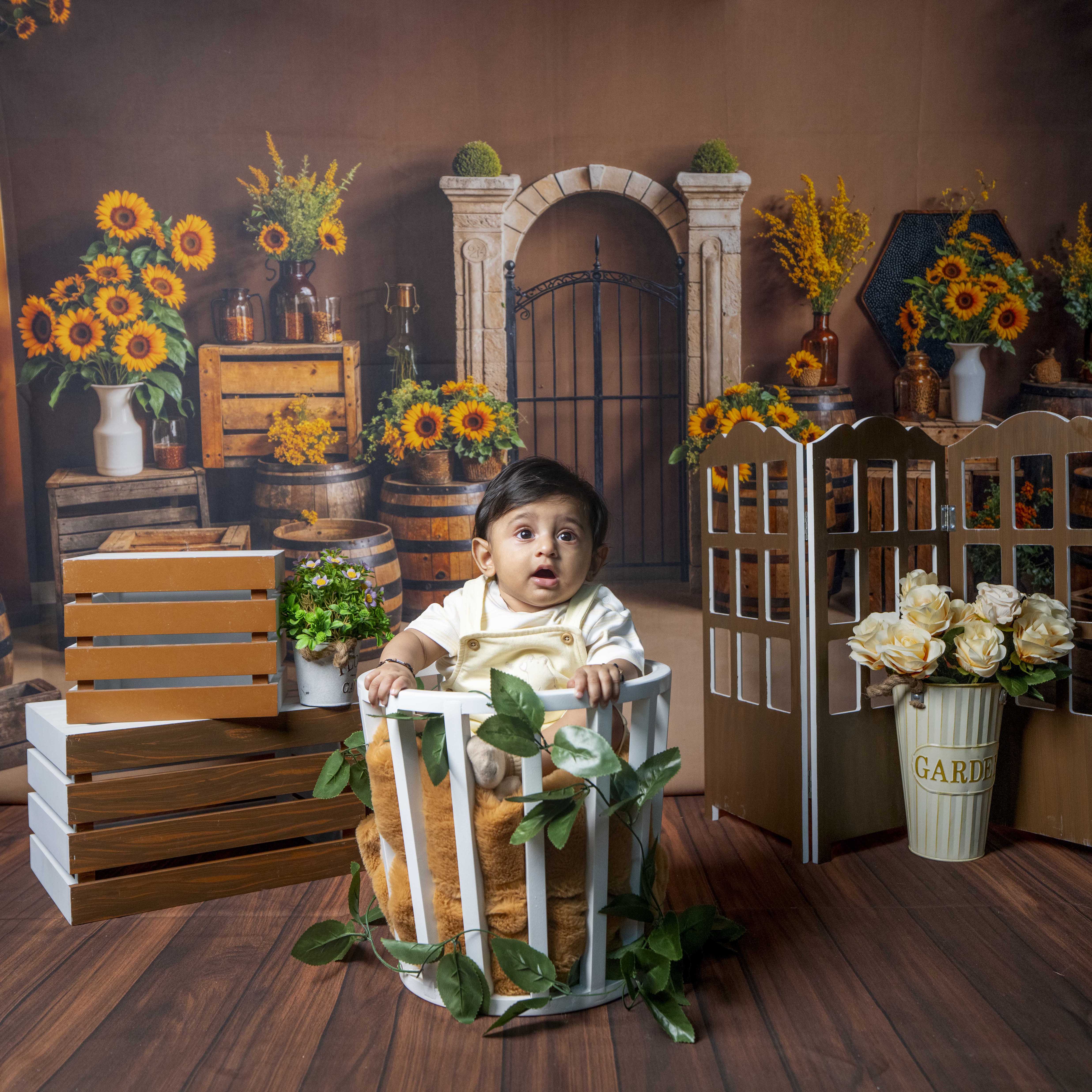 Honeybees Theme Backdrops (5386)