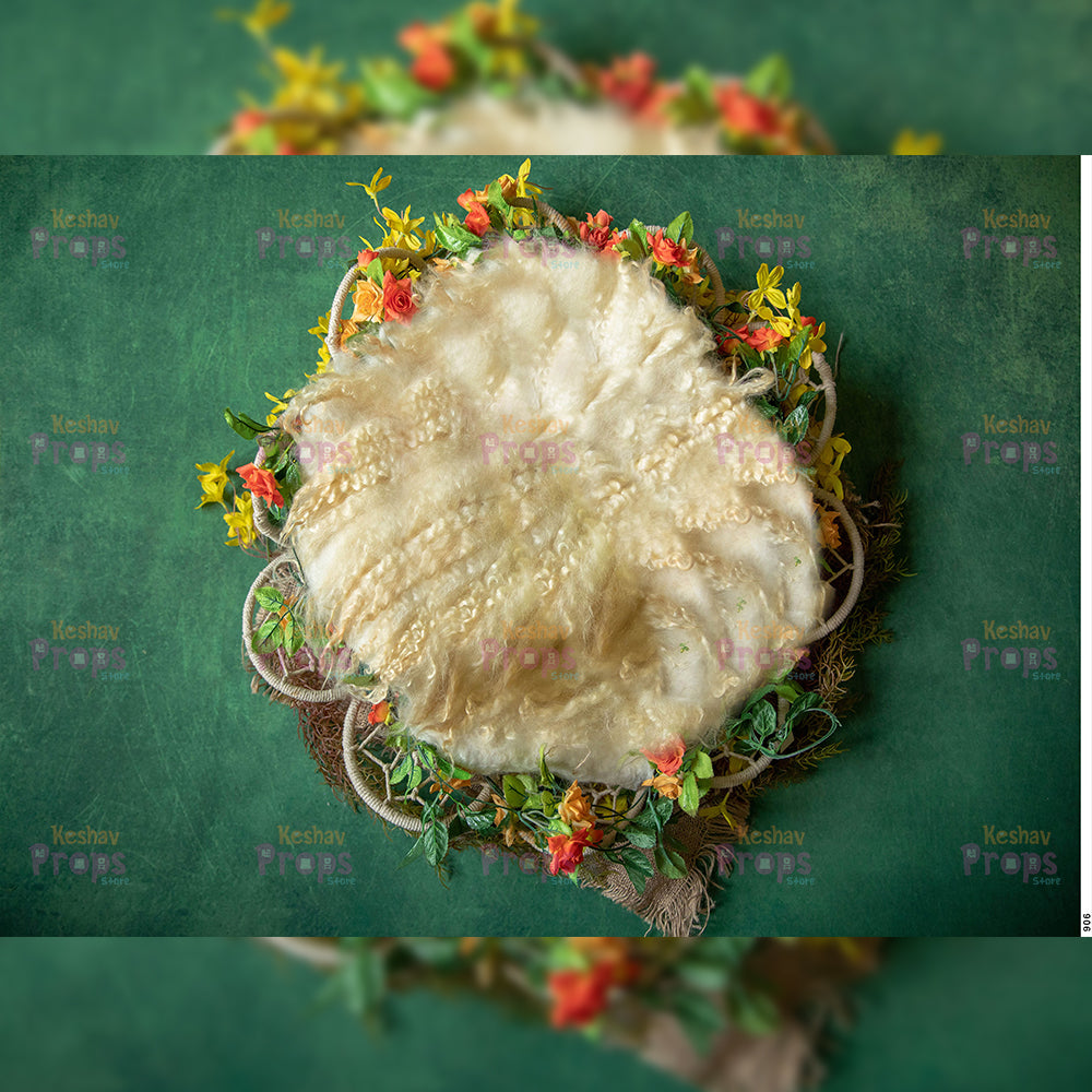 New Born Shoot Backdrops (906)