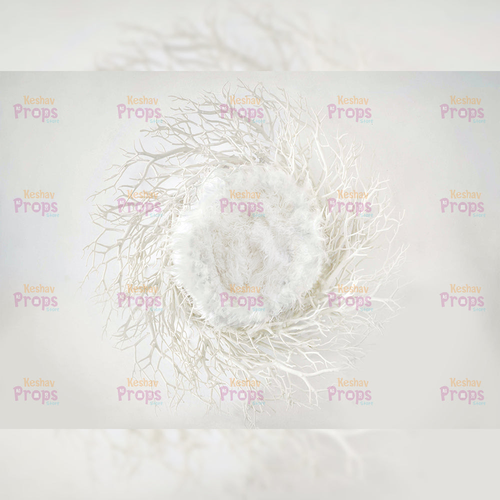 New Born Shoot Backdrops (911)