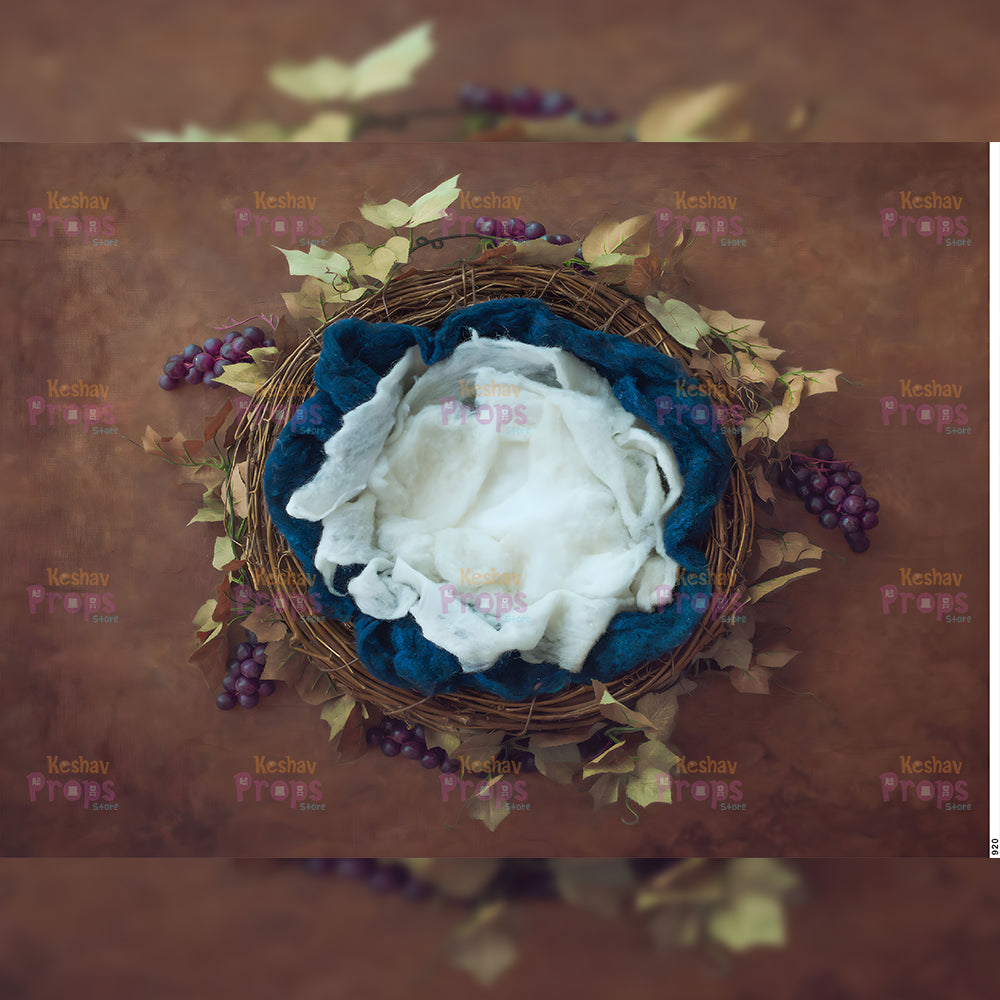 New Born Shoot Backdrops (920)