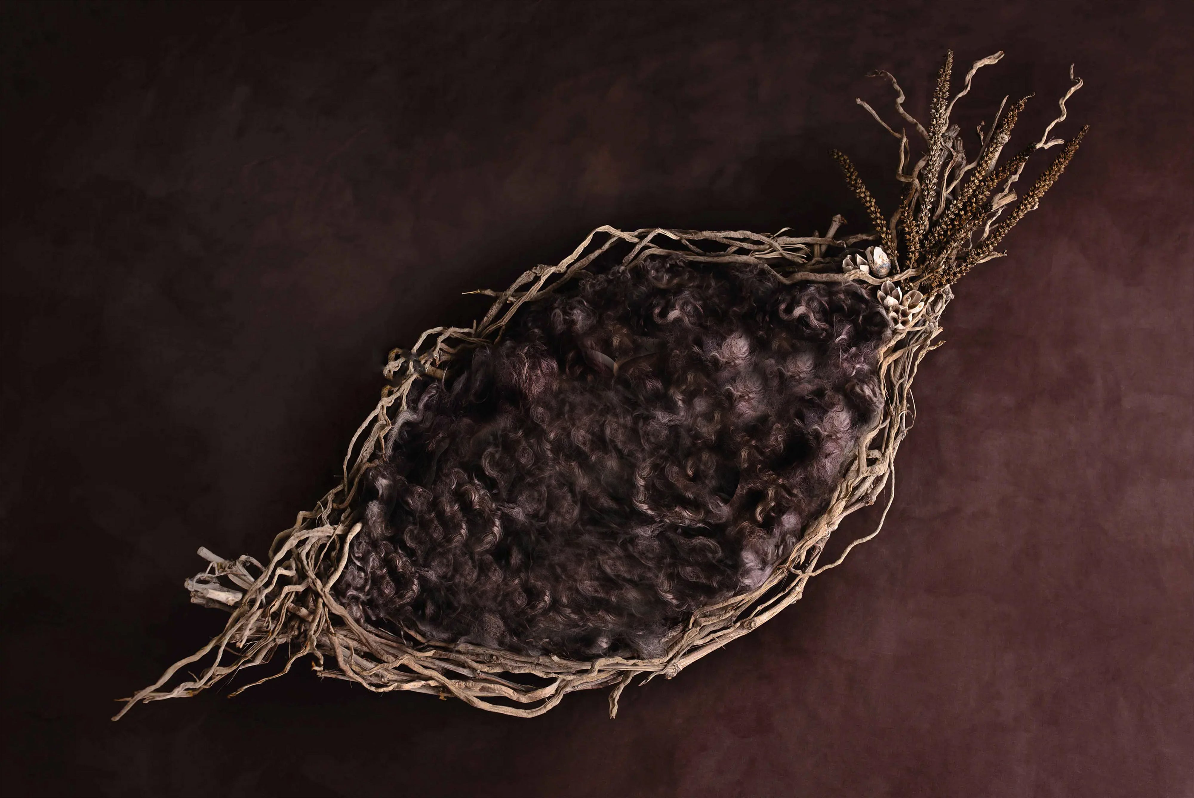 Baby Theme - Digitally Printed Backdrop