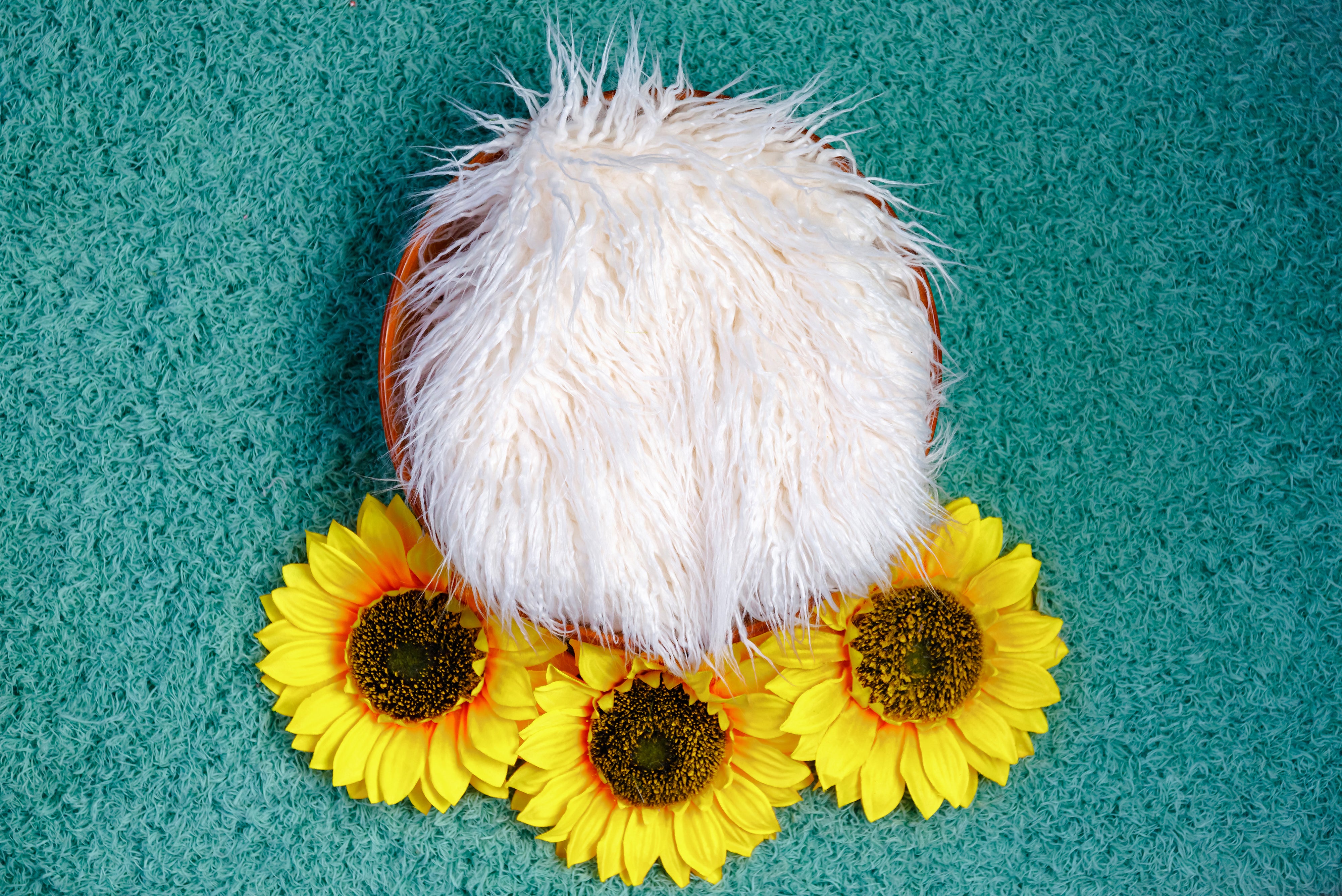 Baby Theme - Digitally Printed Backdrop