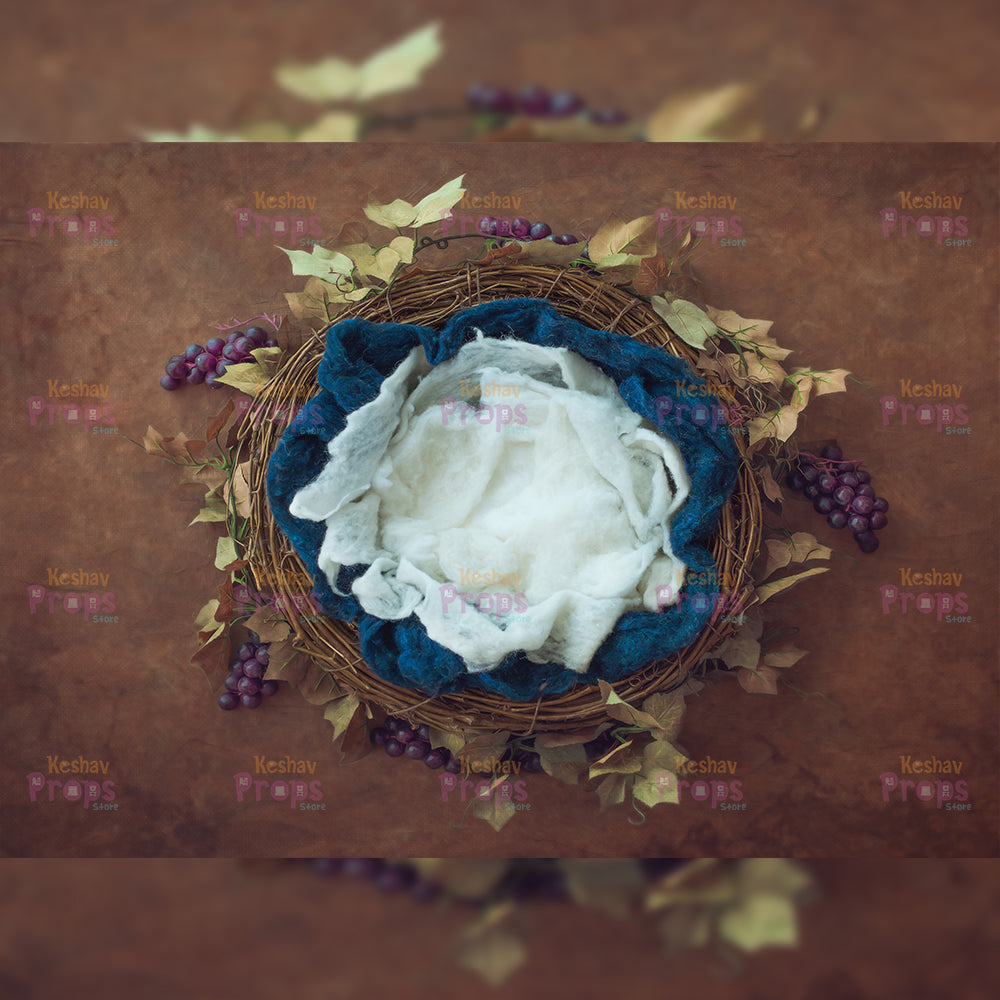 New Born Shoot Backdrops (952)