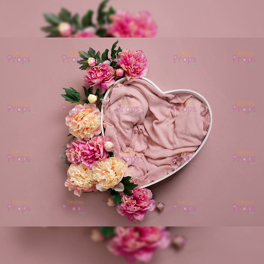New Born Shoot Backdrops (997)